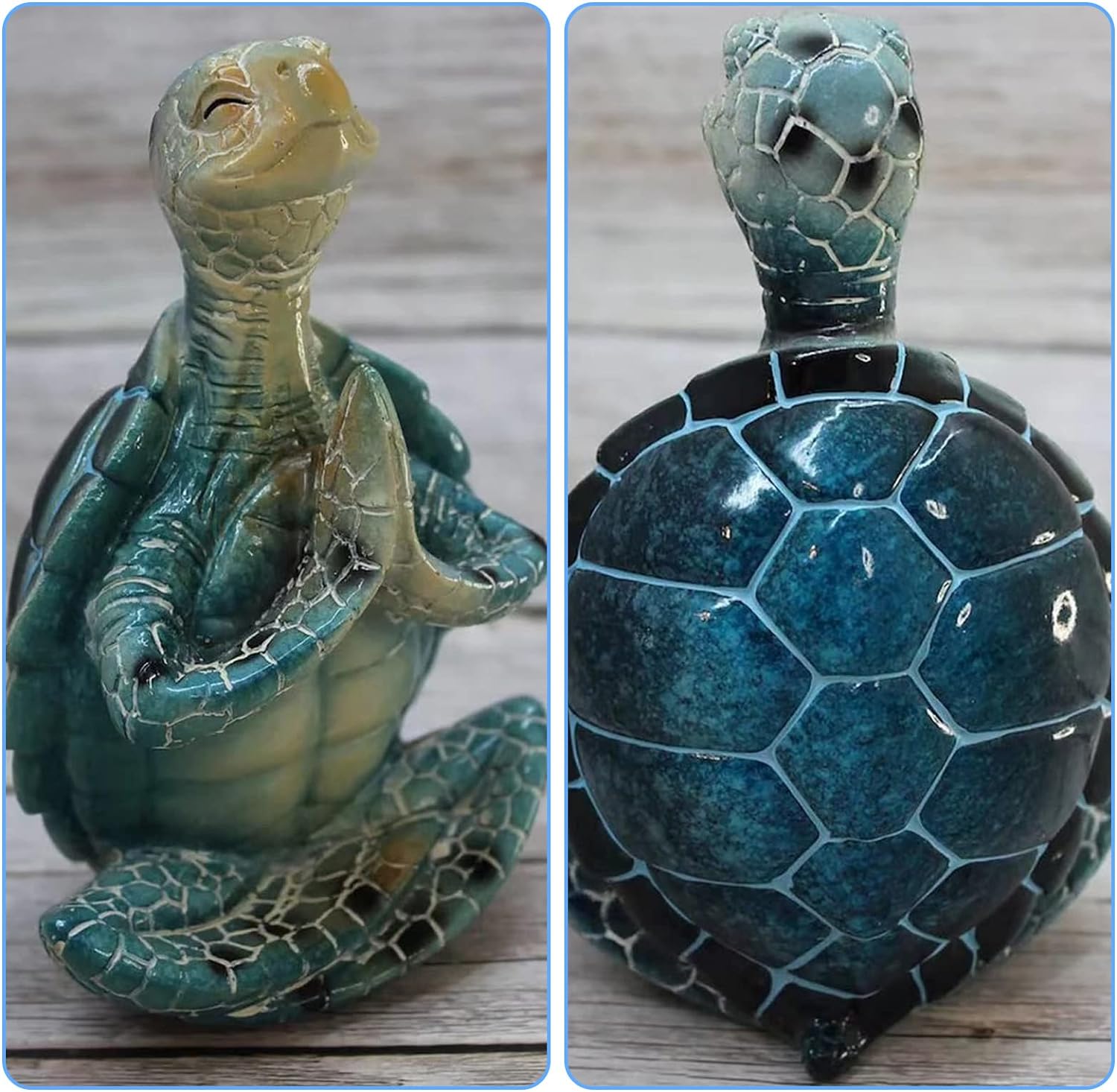 Meditation Turtles Meditation Turtles