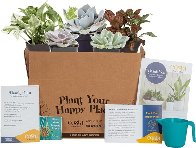 Plant Box