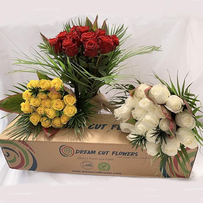 Roses Box Roses Box